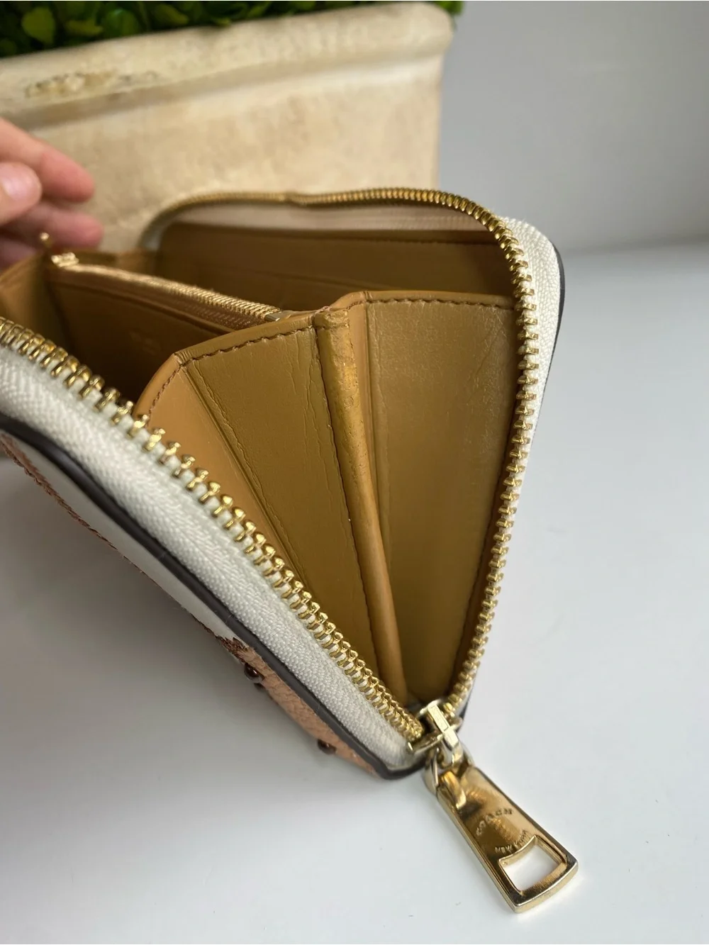 Coach Studded Floral Swagger Floral  Zip Wallet in Cream and Tan